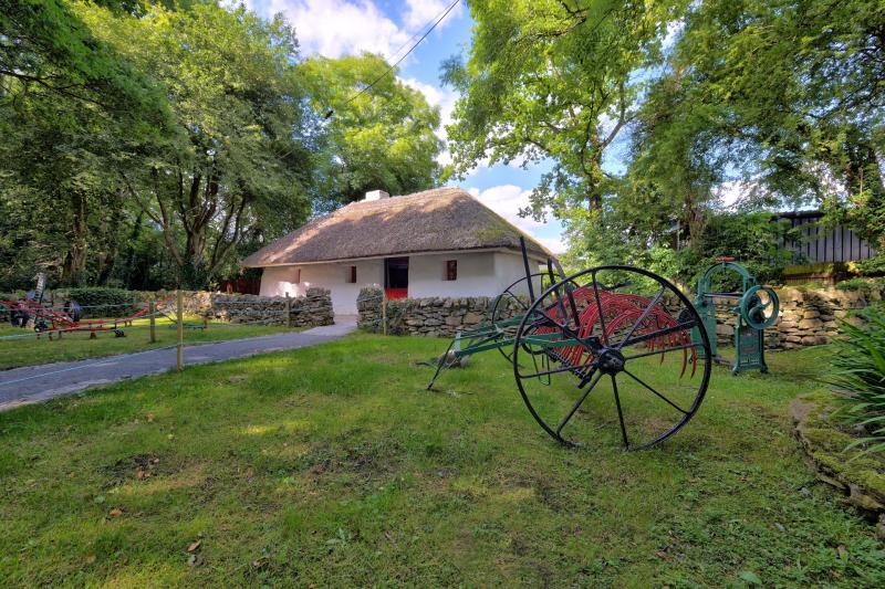 Big Kildare Interview: Meet the community-based organisation dedicated to ‘creating an equal and inclusive society’