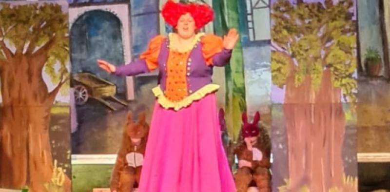 Much anticipated panto cancelled due to Covid