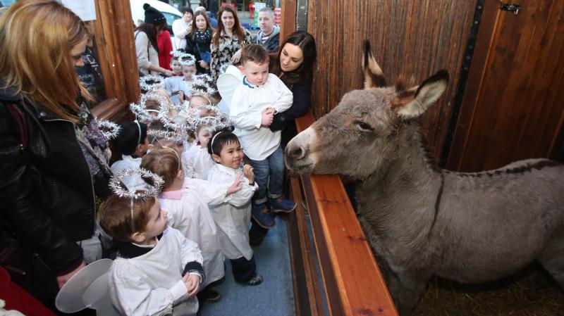 It Occurs to Me . . . . . And the wee donkey 