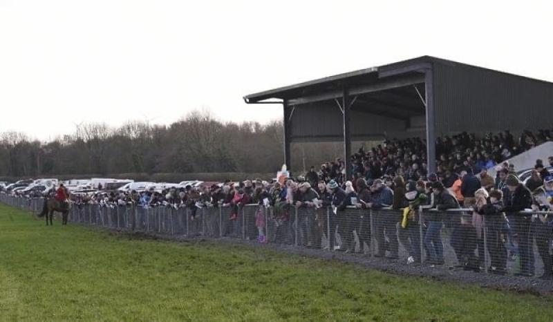 The grounds at Longorchard, Templetuohy are perfect for the annul coursing event