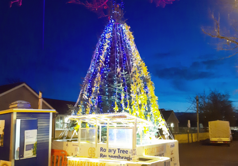 Carlow Rotary Club's Tree of Remembrance charity fundraiser raises €9000