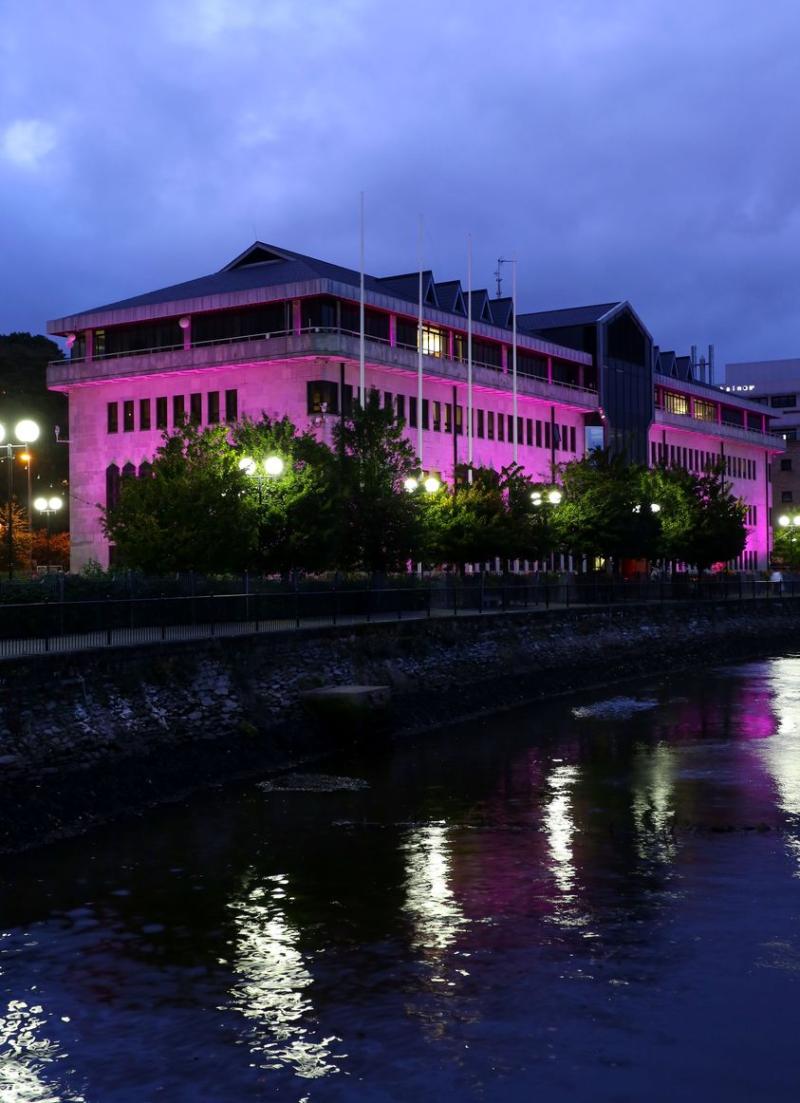 Derry to light up in purple to highlight Dry January and Feel Good February