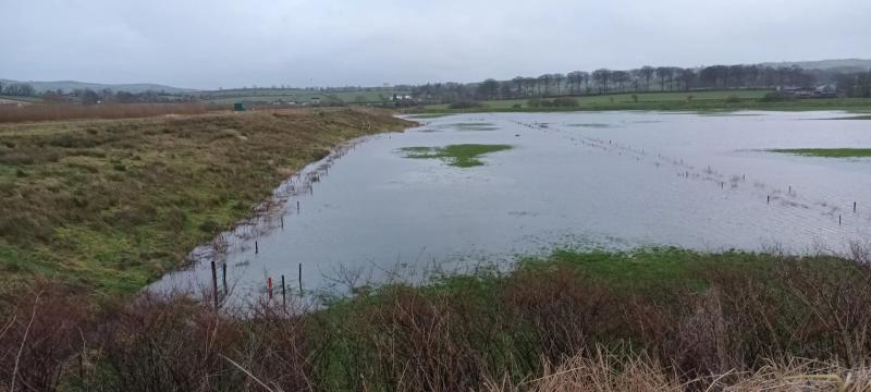Floody Hell!  Rising water is causing the River Finn to burst its banks again