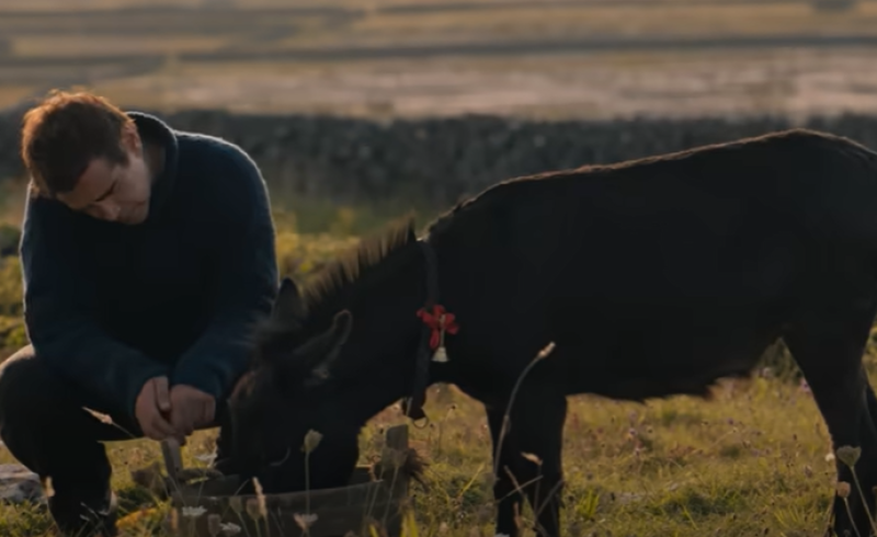 Movie star: Beloved donkey from Banshees of Inisherin becomes Carlow resident