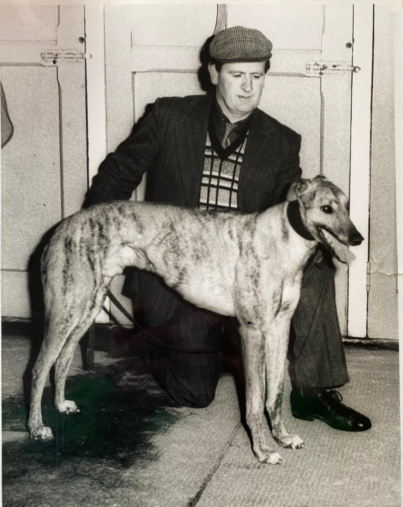 &ldquo;One of the legends and true gentlemen of Irish greyhound sport&rdquo; remembered