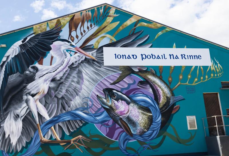 Walls to paint in Waterford city and countryside sought for festival 