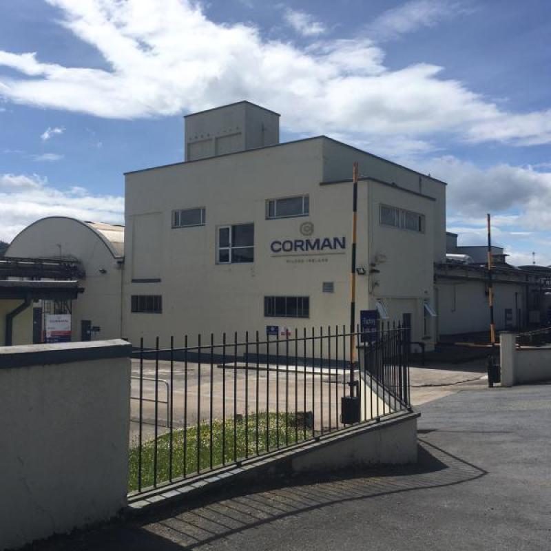 Carrick-on-Suir dairy processing plant employing 31 people to close 