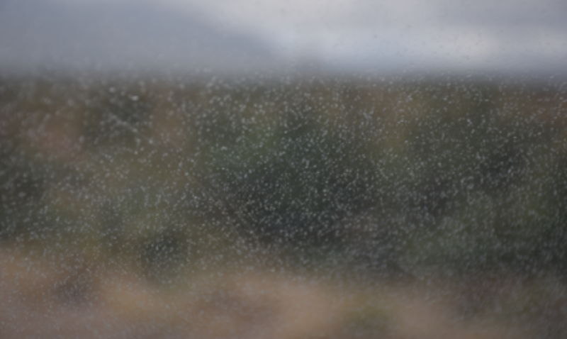 CARLOW WEATHER: Cloudy with patches of mist and drizzle today (Jan 21)