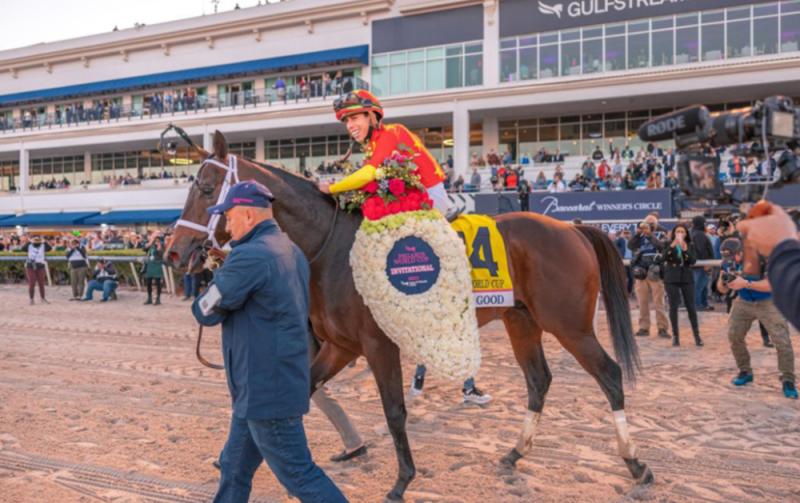 Kildare company Equine MediRecord hired to clear horses for the Pegasus World Cup 2023 Ireland