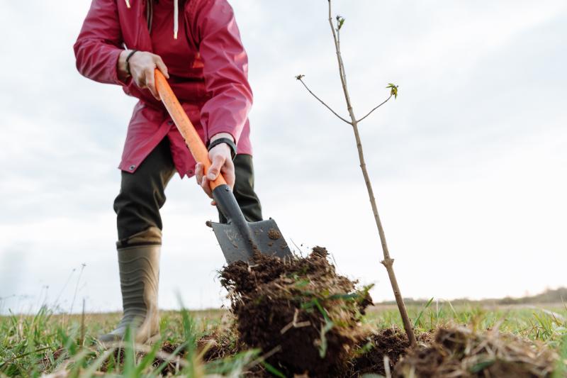 ChangeX & Accenture launch €70k fund for environmental sustainability projects in Louth