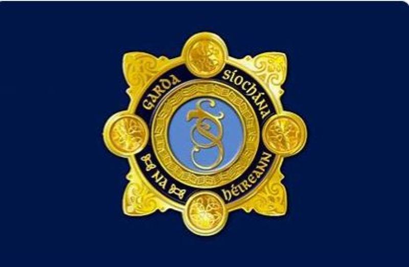 An Garda S&iacute;ochana come across potentially 'catastrophic' scene in Kilkenny 