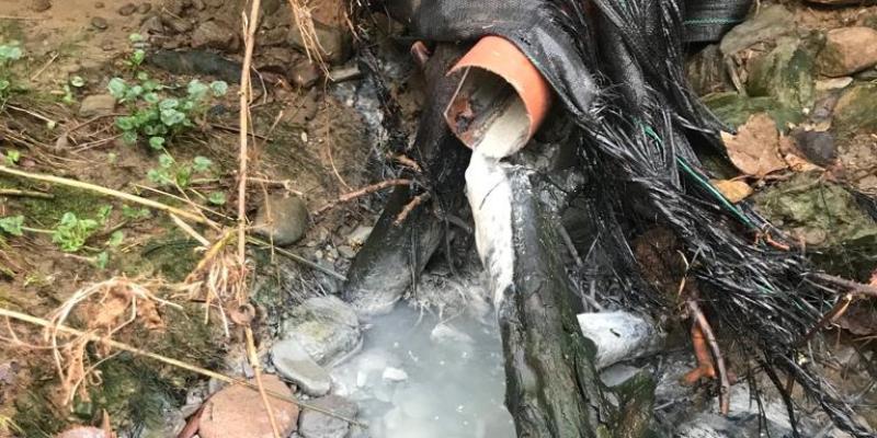 Loughs Agency carries out inspections following Foyle pollution concerns