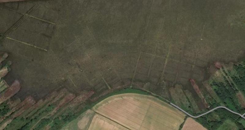 Traumatic injury most likely cause of death for greyhounds found buried in Newbridge, County Kildare