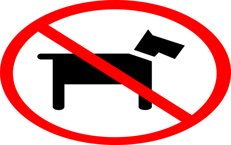 No more dogwalking at Rathdowney-Errill GAA grounds