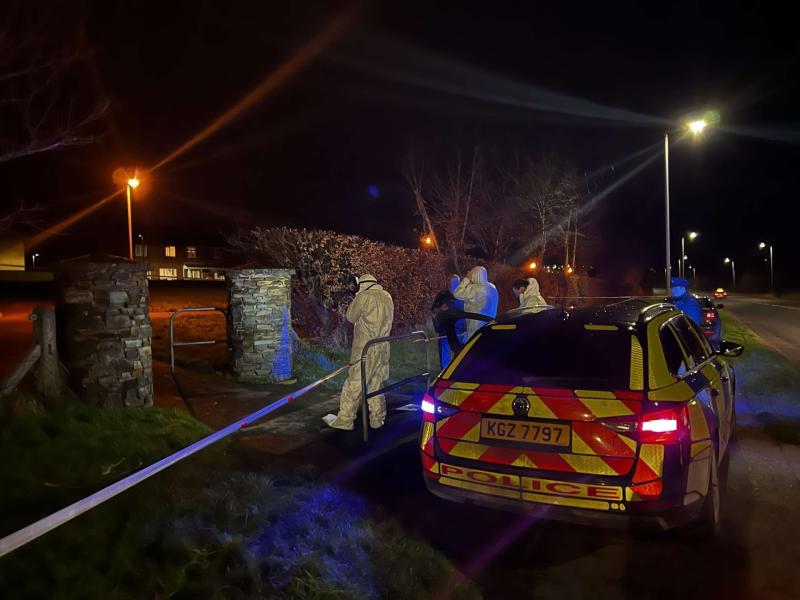 Calls for end to Derry shootings