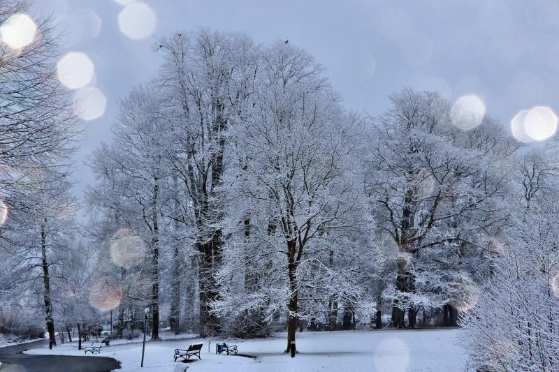 Short, sharp, shock of winter weather forecast in Kilkenny 