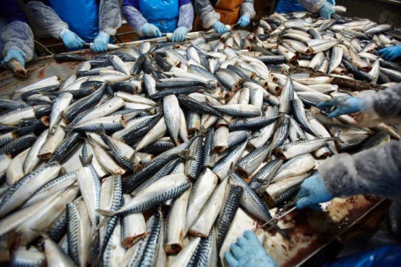  Brexit: Fishermen demand immediate access to the 'fund that got away'