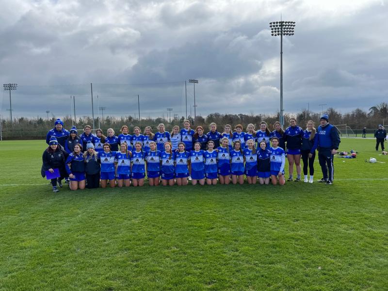 Laois Minor Camogie team beaten in Leinster decider by Meath