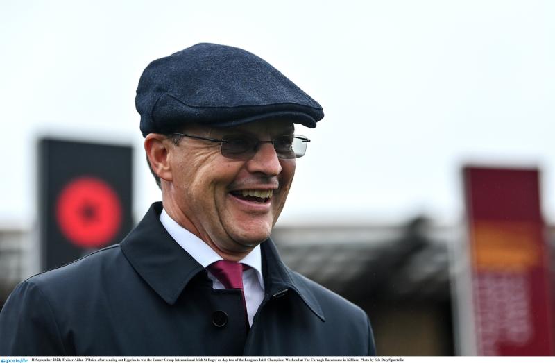 Dundalk winner on course for Kentucky Derby following Patton Stakes triumph