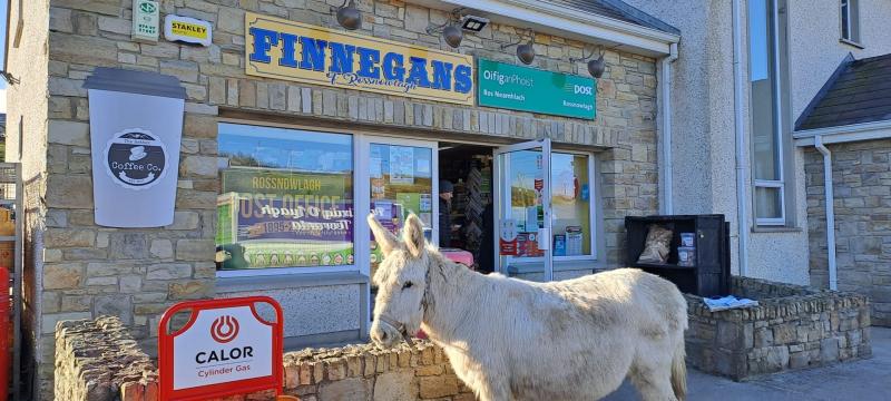 Phoebe the' donegal pops 'In For The Messages'