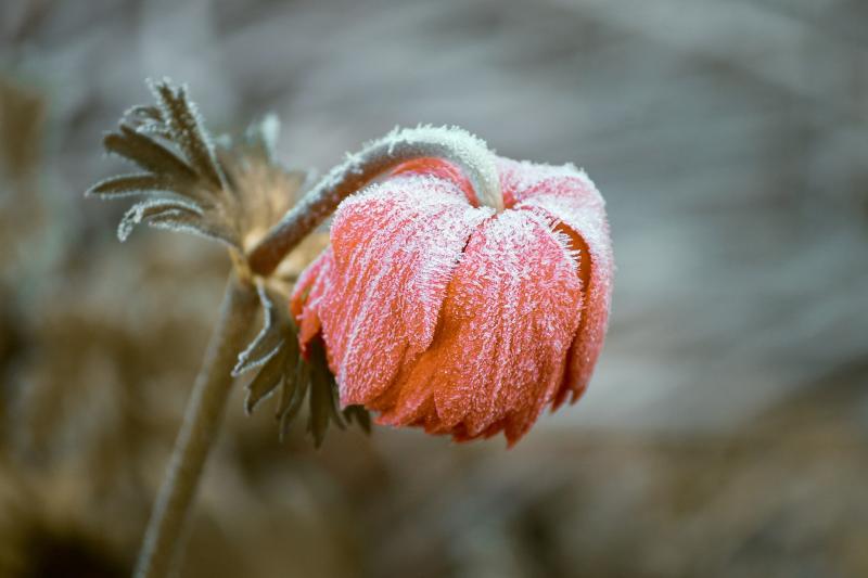 ALERT: Yellow weather warning issued for Tipperary over the next two days