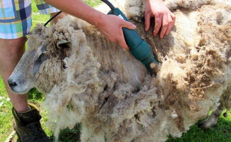 'Law is constantly changing' - Carlow farmers advised to be aware of employment rules