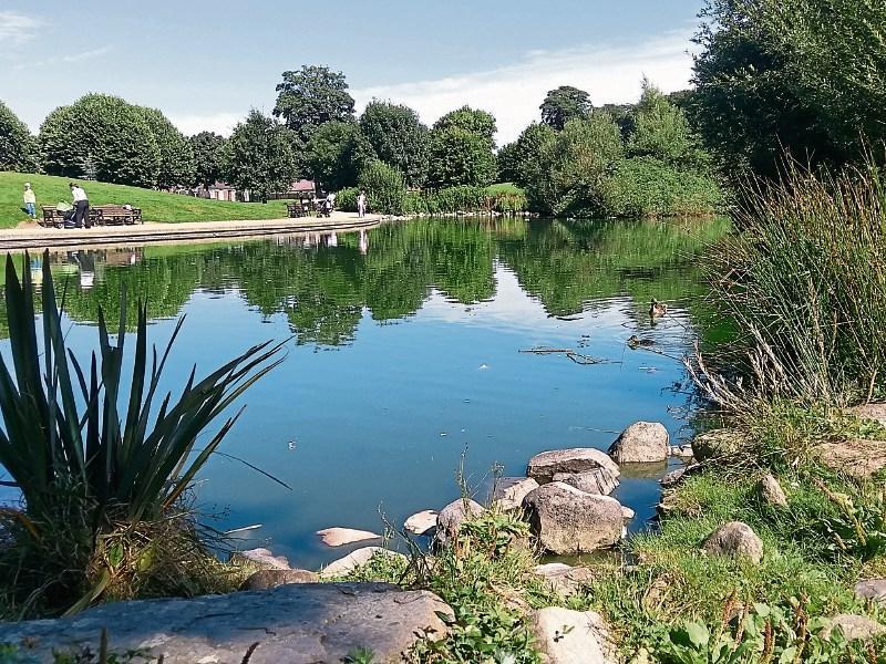 Dundalk gardai investigate after woman robbed in Ice House Hill Park