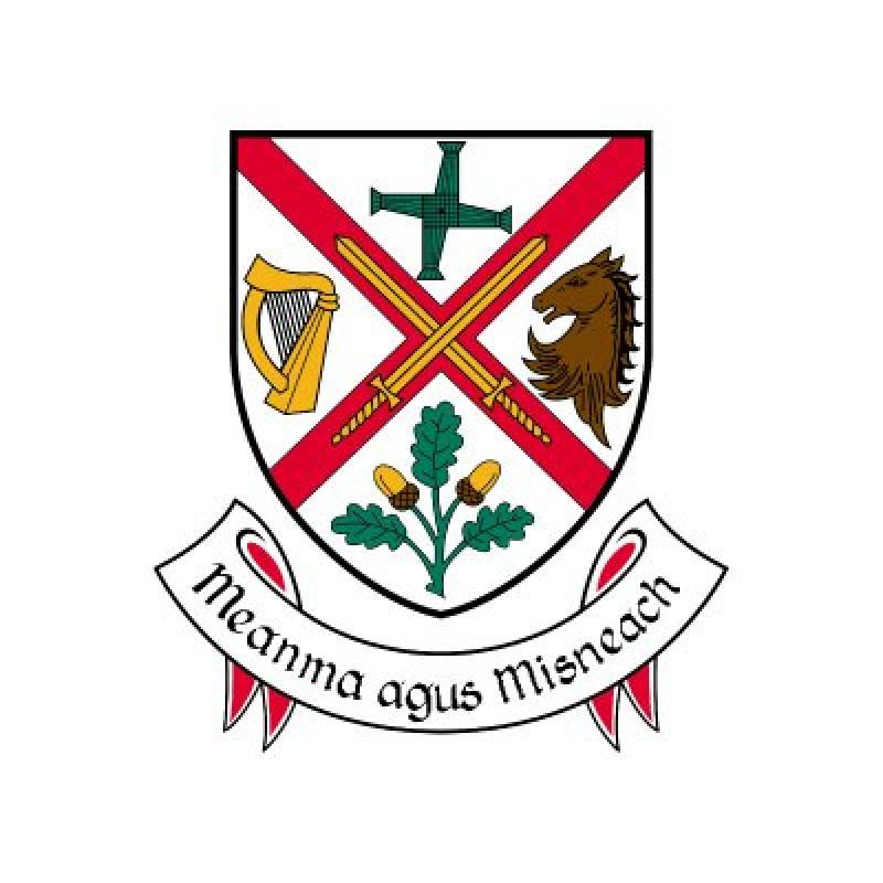 Concerns over two junctions located in Newbridge relayed to Kildare County Council