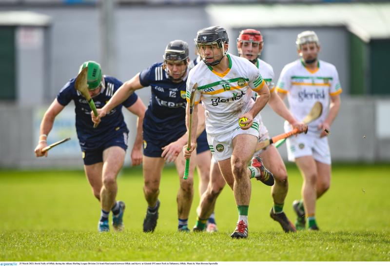 Offaly hurlers aim for quick return to top flight