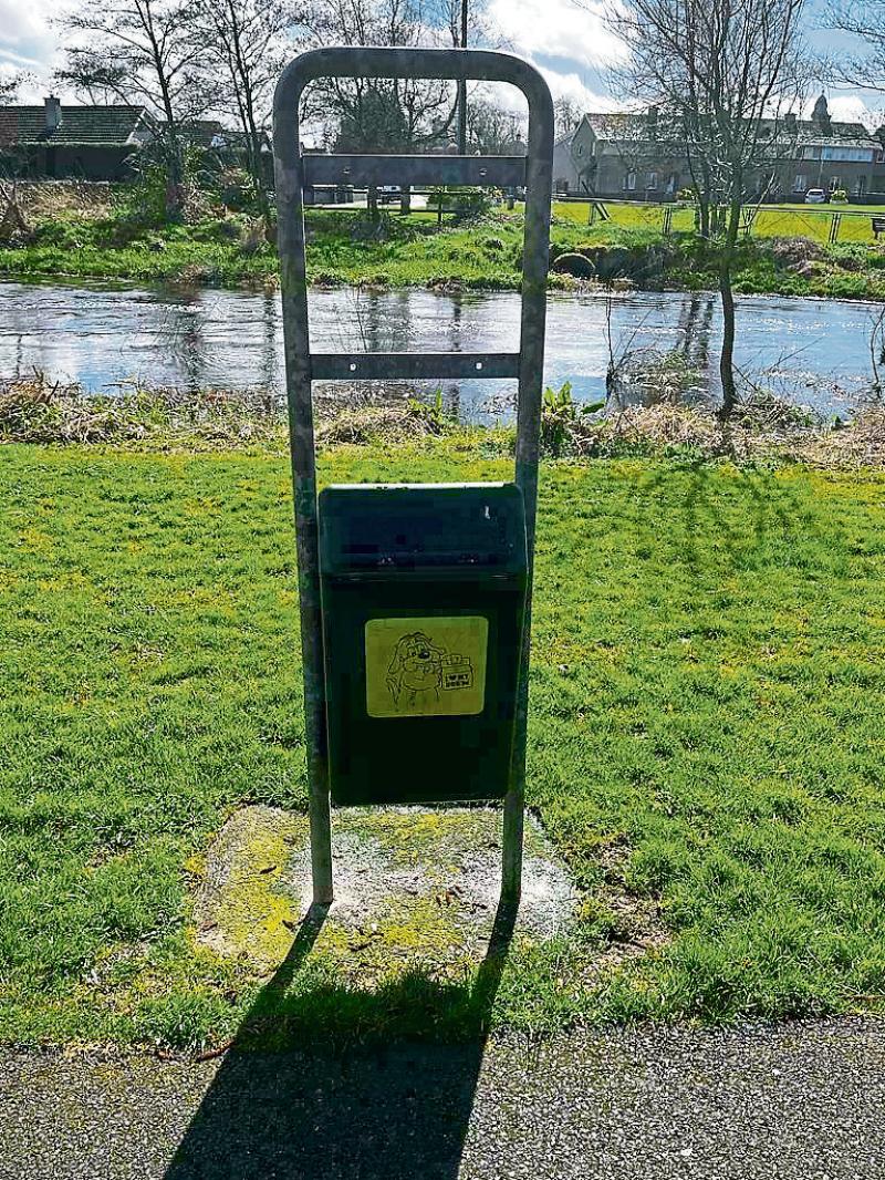Dog pooping