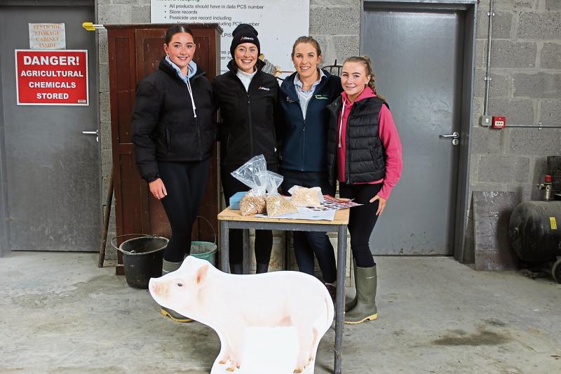 Longford Ag Science students get a taste of farm life