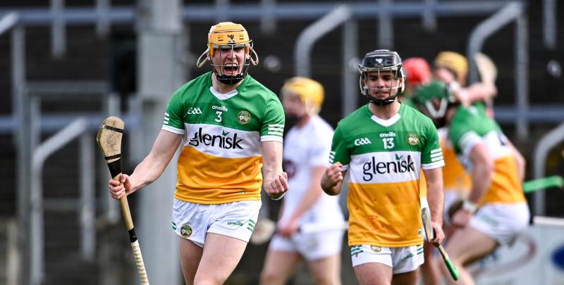 Offaly turn the tables on Kildare to return to top flight