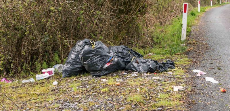 Dismay at dumping in Leitrim