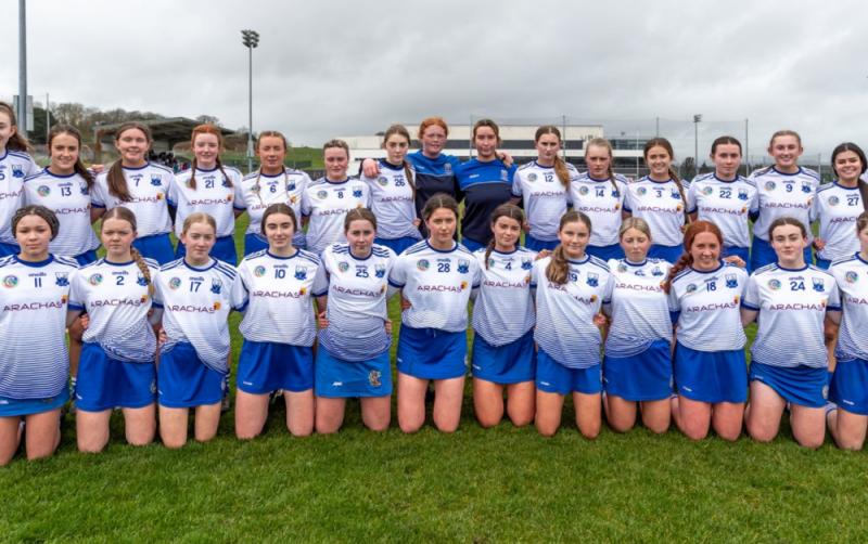 VOTE NOW: Waterford camogie player among Player of the Week nominees