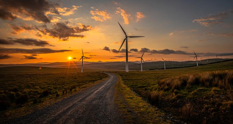 “We need to build wind farms now and with urgency” - Wind Energy Ireland