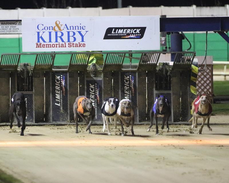 Plenty of Tipperary interest in the &euro;80,000 decider tonight at Limerick Greyhound Stadium