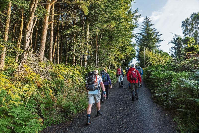 Important maintenance work to be carried out at key walking routes across Carlow 