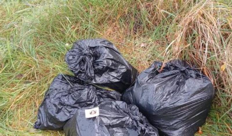 McHugh's Miscellany: Isn’t it time we put these ‘rubbish' stories to bed! 