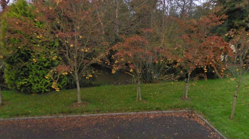 Council seek to dredge Portlaoise lake