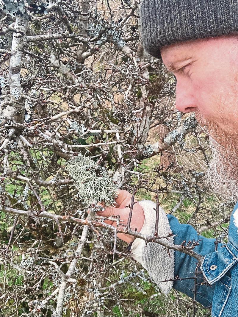 Unique Leitrim Hawthorn Project unveiled