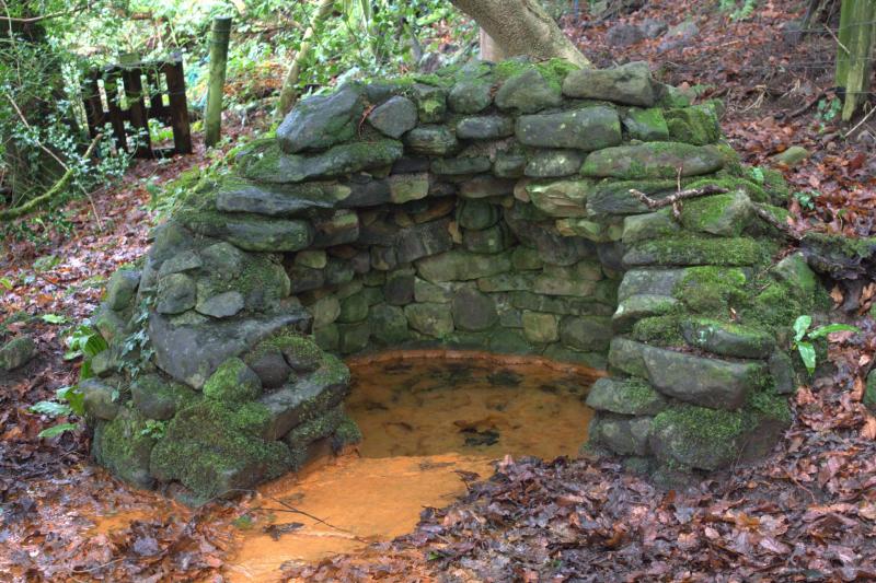 Biodiversity Day to be held  in Leitrim on May 25 