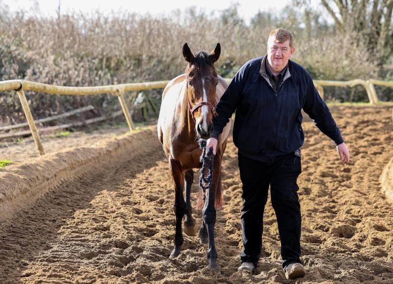 WATCH: Carlow trainer 'Shark' Hanlon and Hewick arrive in France ahead of French Champion Hurdle