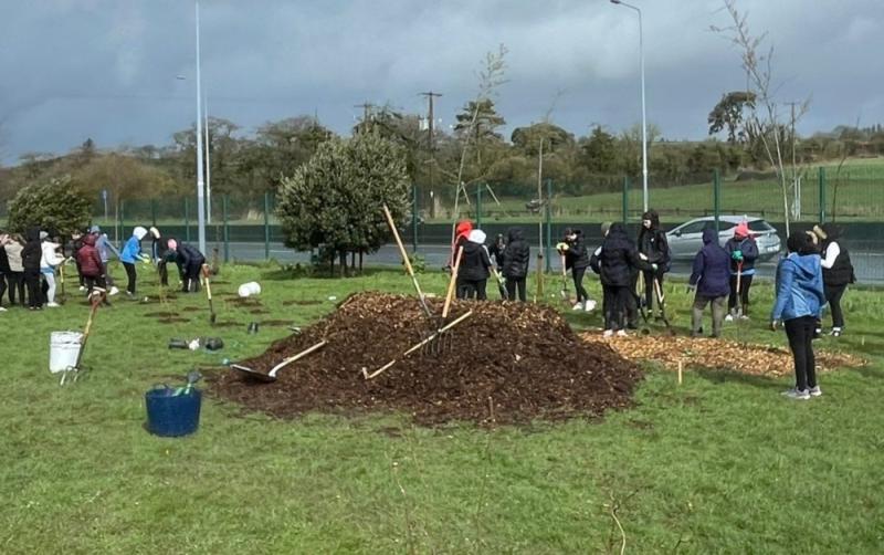 Mercy students plant Ogham tree calendar at SETU West Campus