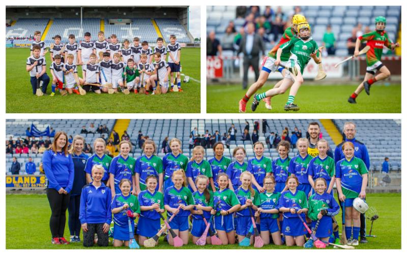 Fixtures announced as Laois Cumann na mBunscol finals set to descend upon Laois GAA HQ 