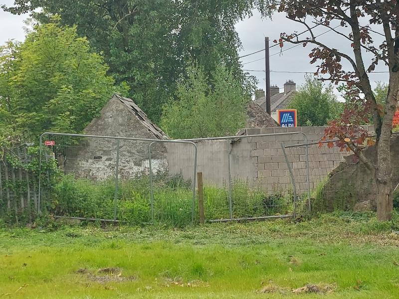 Thurles Lions Trust look to the future of housing at Stanwix Village and beyond