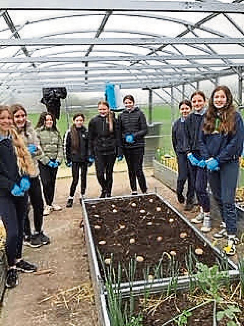 Longford School St Mel's NS of Ardagh advocate for biodiversity