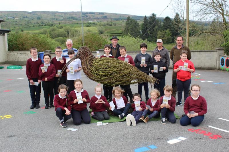 Celebrating World Curlew Day in Leitrim and North Roscommon