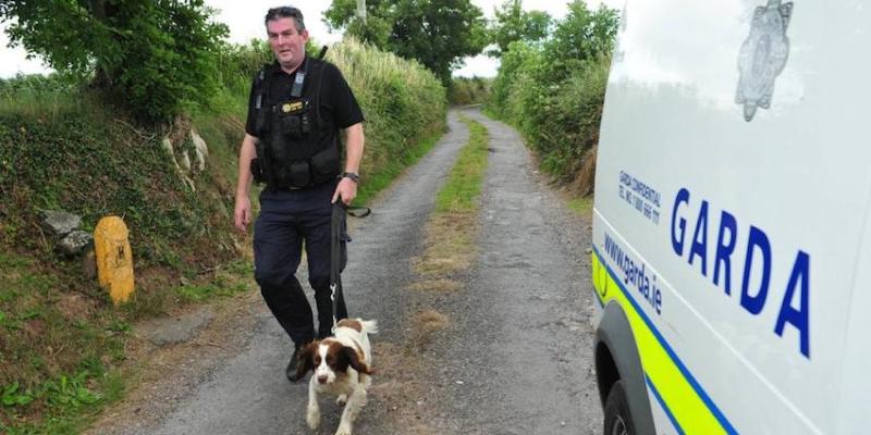 Donegal to get drug sniffer dog, Chief Super confirms