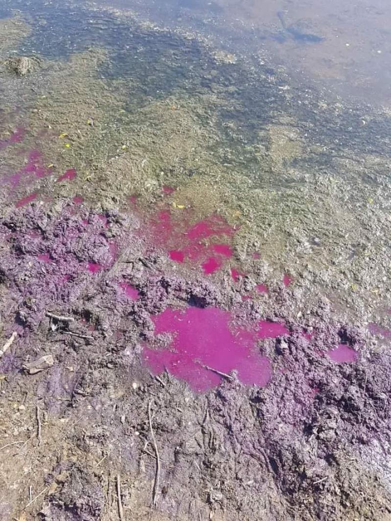 Mid Ulster Council issues ‘no swim’ warning at Marina