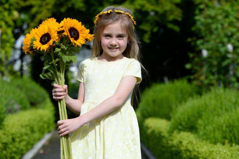 Local people urged to support North Louth Hospice Homecare by dedicating a virtual sunflower